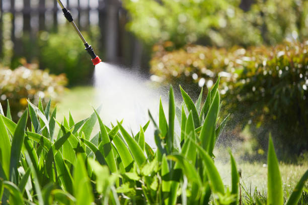 24/7 Emergency Mosquito Control experts in Copperas Cove, TX