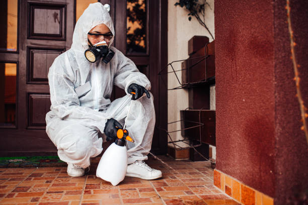 Reliable Mosquito Control contractor in Copperas Cove, TX by Show Me Pest Control