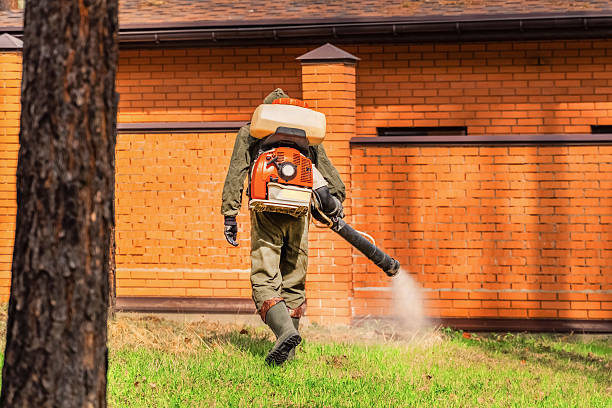 Top rated local Mosquito Control specialists in Copperas Cove, TX